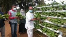 Minamas Plantation Komitmen Cegah Kebakaran Lahan dan Hutan