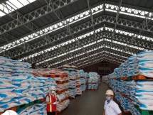 Stok Pupuk Nasional di Atas Ketentuan Jelang Ganti Tahun