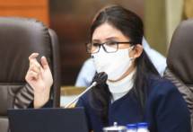 Ketua Komisi IX DPR Felly