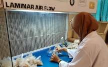 Amankan Produksi Pangan, Kementan Masifkan Penggunaan Agens Pengendali Hayati