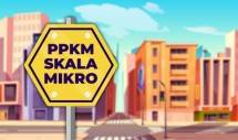 Nekat Pergi, Aturan PPKM Mikro Darurat Menghadang!