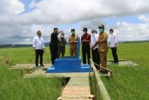 Menteri Pertanian Syahrul Yasin Limpo di lahan food estate