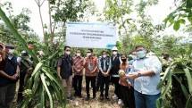 Dongkrak Produktivitas dan Penghasilan Petani Buah Naga Lewat Program &lsquo;Cahaya untuk Sang Naga&rsquo;