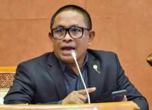 Anggota Komisi VI DPR RI Rafli