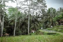 Desa Wisata Bakas, Kecamatan Banjar Angkan, Klungkung, Bali (Dok: Kemenparekraf)