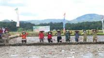 Petani Kabupaten Landak siap tanam lagi