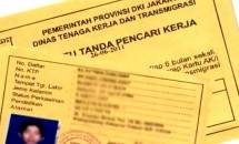 Catat! Menaker Ida: Pembuatan Kartu Kuning Pencari Kerja Gratis, Begini Cara Daftarnya...