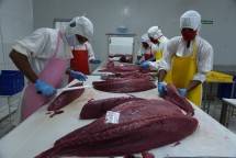 Permintaan Global Meningkat, KKP Catatkan Neraca Perdagangan Sektor KP Surplus Rp27 Triliun