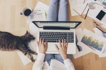 Aplikasi Kolaborasi Lark untuk WFH Hadirkan Fitur-Fitur Baru