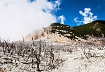 Hutan Mati Gunung Papandayan