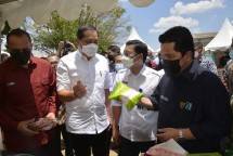 Setelah beberapa BUMN Pangan dilakukan penggabungan, bisnis BUMN Pangan diharapkan kian memperkuat upaya transformasi ekosistem pangan 