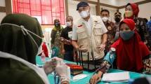 MenkopUKM saat meninjau vaksinasi massal di Brebes