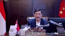 Menteri Luhut: Transmisi dari Kedatangan Luar Negeri Dominasi Kenaikan Kasus Omicron di Tanah Air