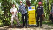 Dubes UE Vincent Piket Kunjungi Kebun Sawit Petani di Siak Riau