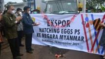 Mentan SYL Lepas Ekspor Telur Tetas Ke Myanmar