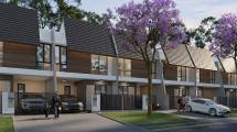 Cluster Adenia