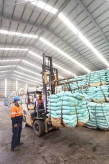 Pupuk Mahkota Kampanyekan Pemupukan Berimbang ke Petani Sawit