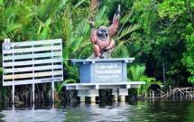 Balai Taman Nasiobal Tanjung Puting (Foto Ist)