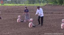 Presiden Jokowi saat meninjau penanaman tanaman jagung di kawasan food estate di Kabupaten Belu, Provinsi NTT, Kamis (24/03/2022) sore. (Foto: Tangkapan Layar YouTube Sekretariat Presiden)