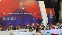 Task Force Energy, Sustainability & Climate B20 Dukung Transisi Energi Pada G20 Melalui Aksi Bisnis