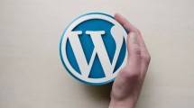 Ilustrasi WordPress 