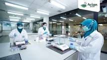  AVIA Luncurkan Cat Anti-Virus