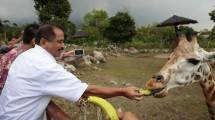Menteri Pariwisata, Arief Yahya Meresmikan Baobab Resort di Taman Safari II Prigen, Pasuruan