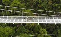 Bach Long, Jembatan Kaca di Vietnam (Foto: TimesofIndia)