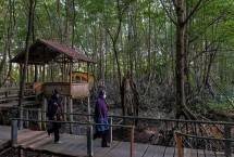 Desa Wisata Kampung Tua Bakau Serip, Batam (Dok: Kemenparekraf)