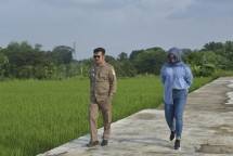 Mentan SYL Cek Pertanaman Padi Pola IP400 di Klaten