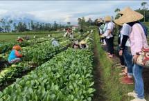Gelar Edutrip, Cara Kemenparekraf Promosikan Potensi Desa Wisata