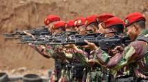 Analisa Mantan Kepala Bais TNI, Situasi di Papua Saat Ini Bukan Konflik Bersenjata