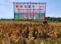 Pupuk Kaltim Hadirkan Ragam Produk Unggulan