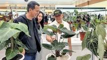 MenKopUKM Teten Masduki saat mengunjungi pameran tanaman hias