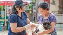 Jelang KTT G20, Kementan Gencarkan Vaksinasi PMK dan Rabies di Bali