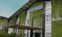 UKM Naik Kelas! Ke Mancanegara dengan Minyak Atsiri