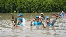 Bekasi Fajar Industrial Estate Tanam 20.500 Pohon Mangrove