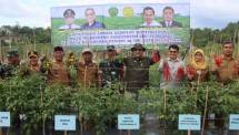 Wamentan Pastikan Ketersediaan Pangan Terpenuhi