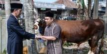 Presiden Jokowi serahkan hewan kurban di Sukabumi (Jumat 1/8) (Foto Setkab)