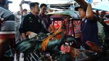 Mentan SYL saat berdialog dengan penjual Ayam Kampung