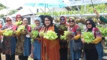 Kabid Pangan Oase-KIM Dorong Masyarakat Manfaatkan Pekarangan Sumber Makanan Sehat