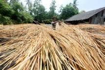 Kemenperin Siapkan Cirebon Jadi Pusat Penyediaan Bahan Baku Rotan