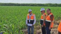Dirjen Industri Agro Kemenperin, Putu Juli Ardika saat melakukan kunjungan kerja ke PT PNS di OKI, Sumatera Selatan