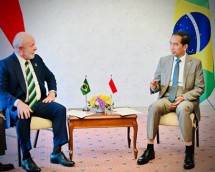 Presiden Jokowi dan Presiden Brasil Lula da Silva Bahas Peningkatan Kerja Sama Indonesia-Brasil