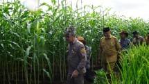 Mentan SYL Pastikan Kesiapan PENAS XVI di Sumbar