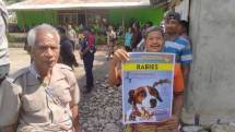 Vaksinasi Anjing cegah rabies