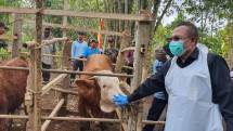Pengendalian antraks di Gunungkidul