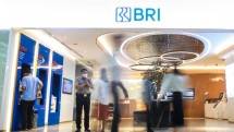 Suasana kegiatan di Kantor BRI