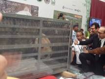 Sepasang Giant Panda Asal Tiongkok hadir di Indonesia (Foto Dije)
