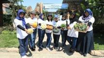 BRI peduli urban farming